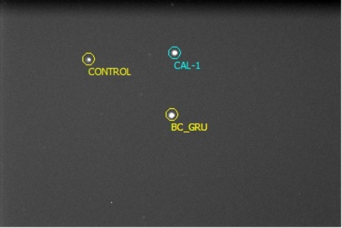 Mapka - BC Gru, JD 2457602.54324