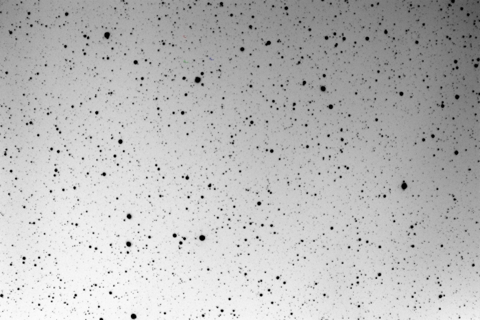 Mapka - V616 Vir, JD 2459651.34413