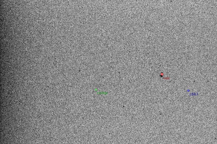 Mapka - BW Dra, JD 2455960.50147