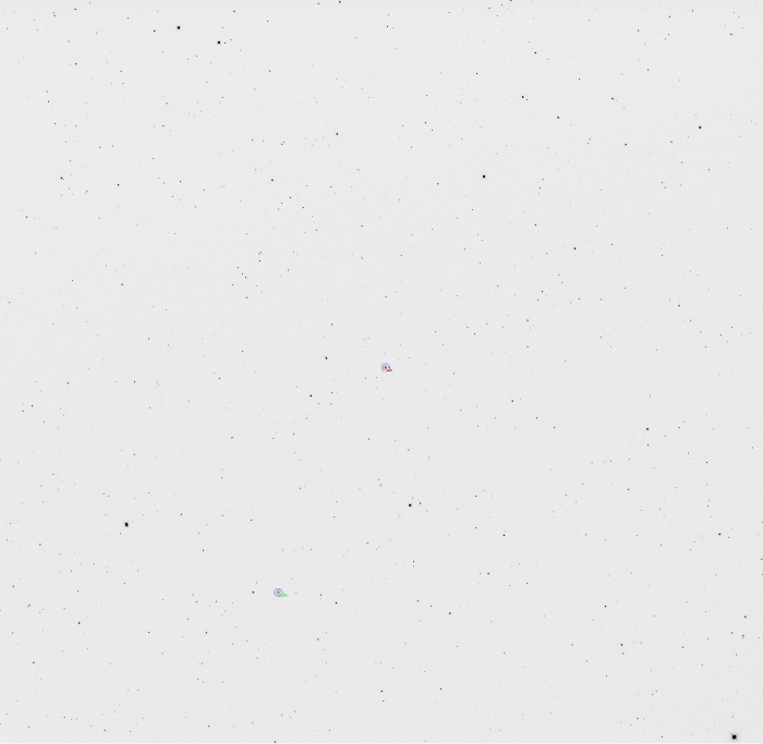 Mapka - TIC 098751019, JD 2460798.31145