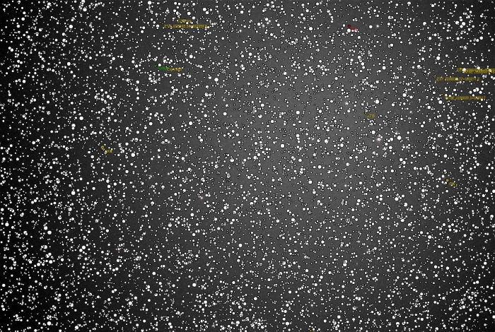 Mapka - ZTF J225845.22+532343.5, JD 2460859.40096