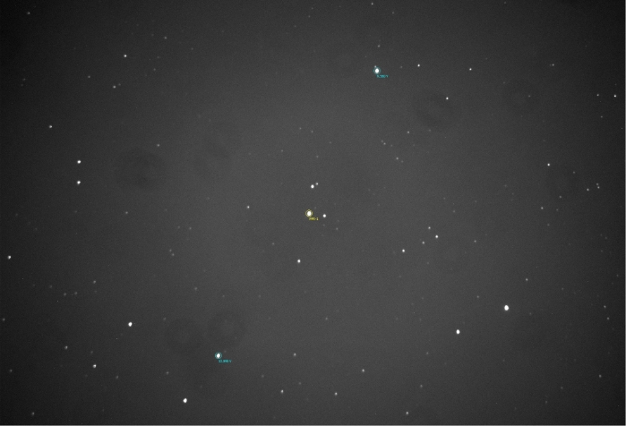 Mapka - TOI 1131.01, JD 2460903.35188
