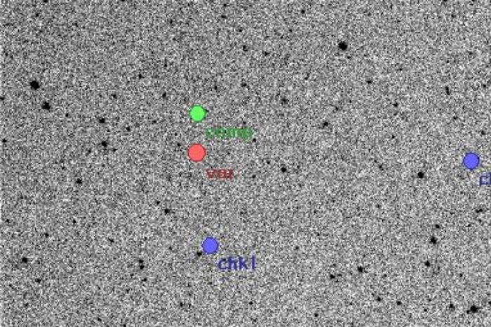 Mapka - V1137 Cas, JD 2455077.35624