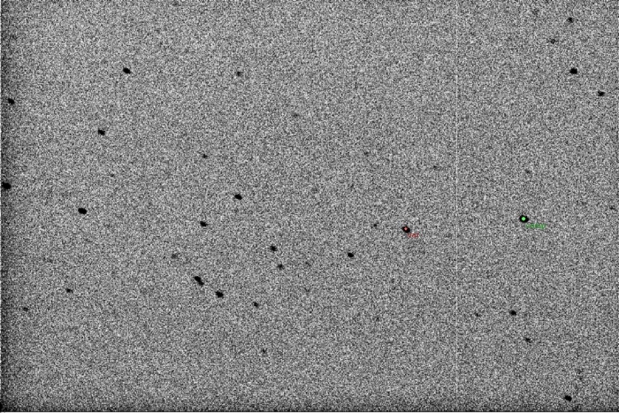 Mapka - YY CrB, JD 2456495.40015