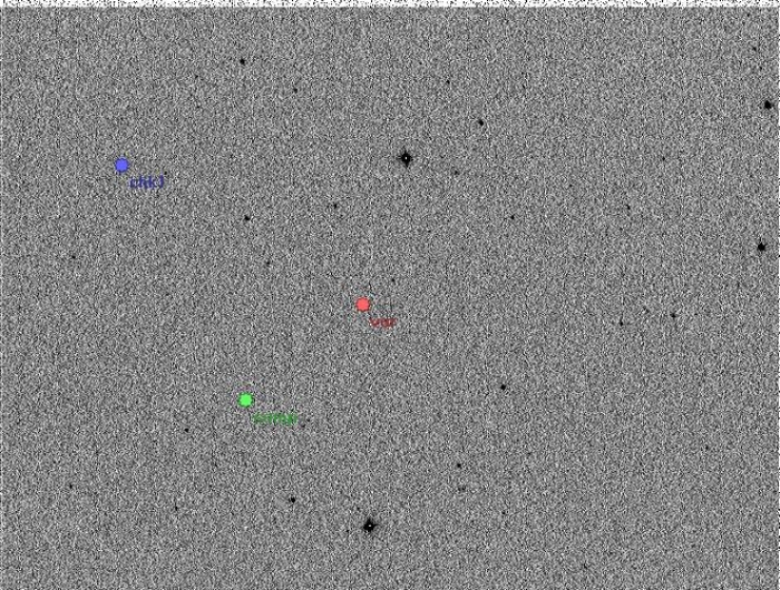Mapka - RU UMi, JD 2454932.27352