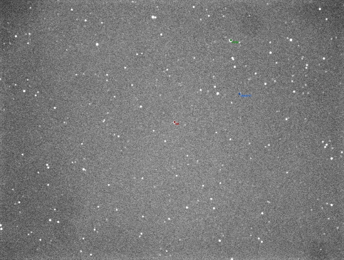 Mapka - AH Cep, JD 2459185.30329