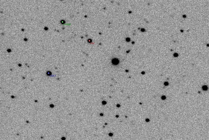 Mapka - AV CMi, JD 2454491.40902