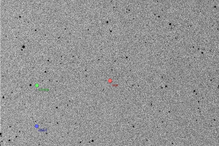Mapka - TY Del, JD 2454406.20333