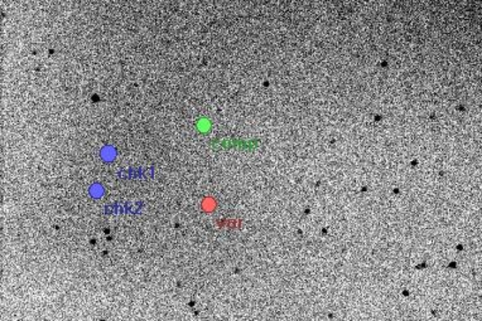 Mapka - XY Boo, JD 2456398.29609