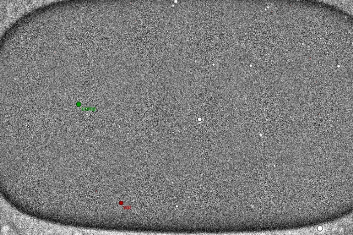 Mapka - QY Boo, JD 2457908.34943