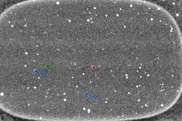 Mapka - V0882 Per, JD 2458922.23867