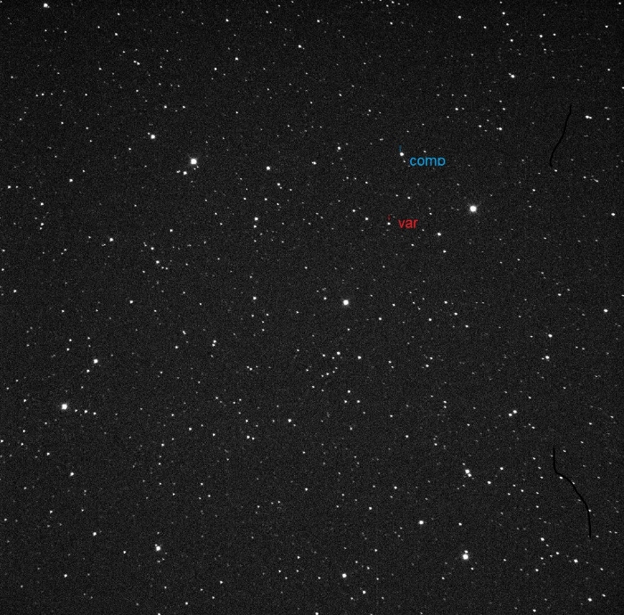 Mapka - V1130 Cyg, JD 2459160.18371