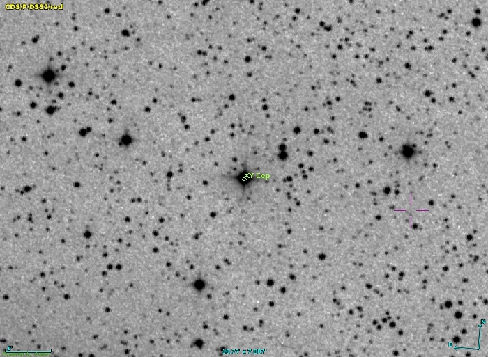 Mapka - XY Cep, JD 2459320.21395