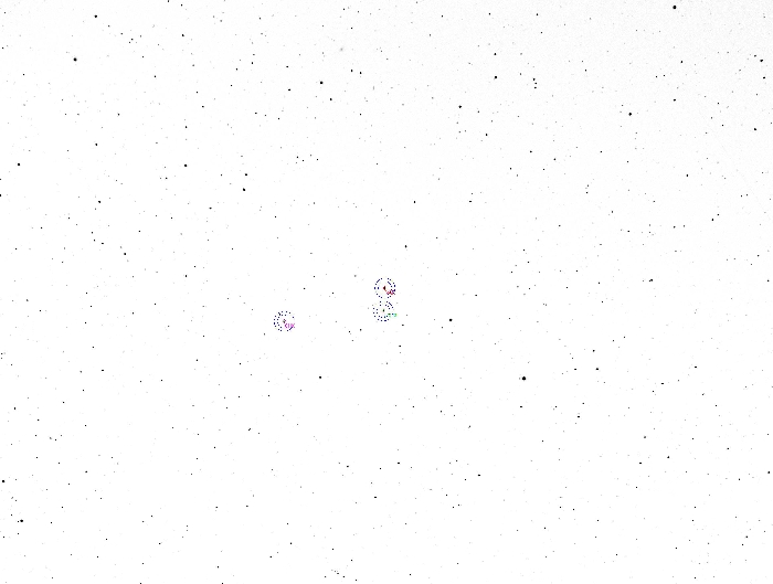 Mapka - U Peg, JD 2459516.22520