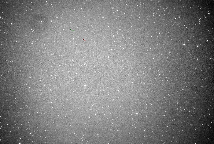 Mapka - V1019 Cep, JD 2459894.32557