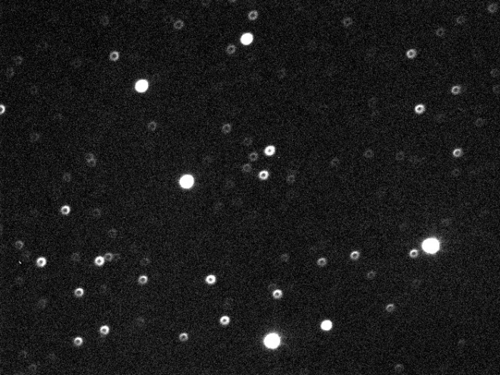 Mapka - XO-3, JD 2455541.26699