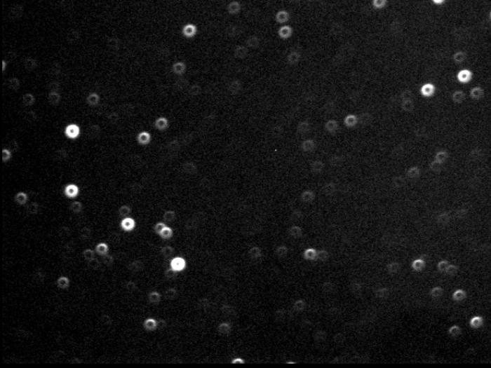 Mapka - Kepler-6, JD 2455672.45072