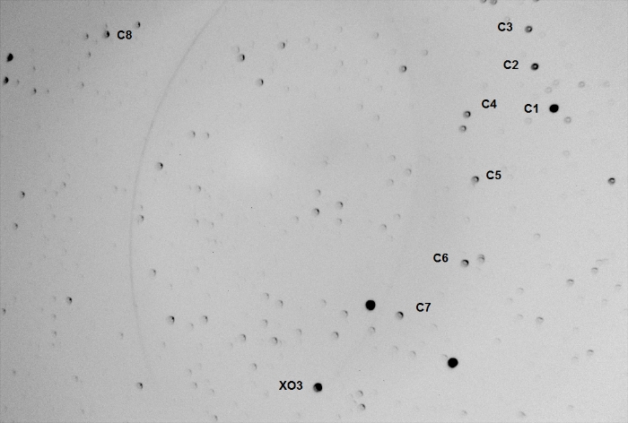 Mapka - XO-3, JD 2456313.59500