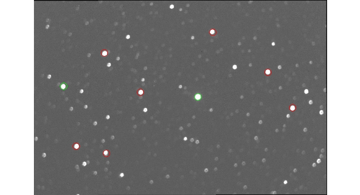 Mapka - TOI-1431, JD 2460578.35194