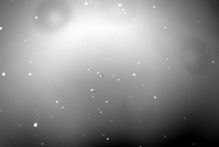 Mapka - XO-2 N, JD 2458534.50669