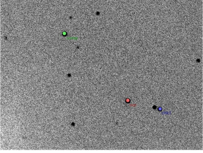 Mapka - MQ UMa, JD 2455877.50126