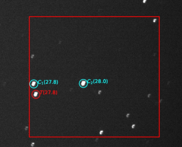 Chart - XO-2 N, JD 2460687.31343