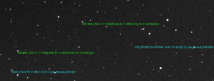 Chart - NSVS 7232279, JD 2460764.36031