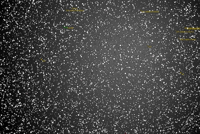 Chart - ASASSN-V J225758.51+541446.5, JD 2460859.40096