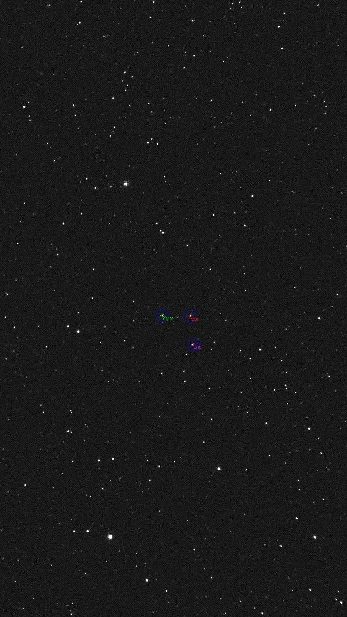 Chart - V0796 Cyg, JD 2461187.46029