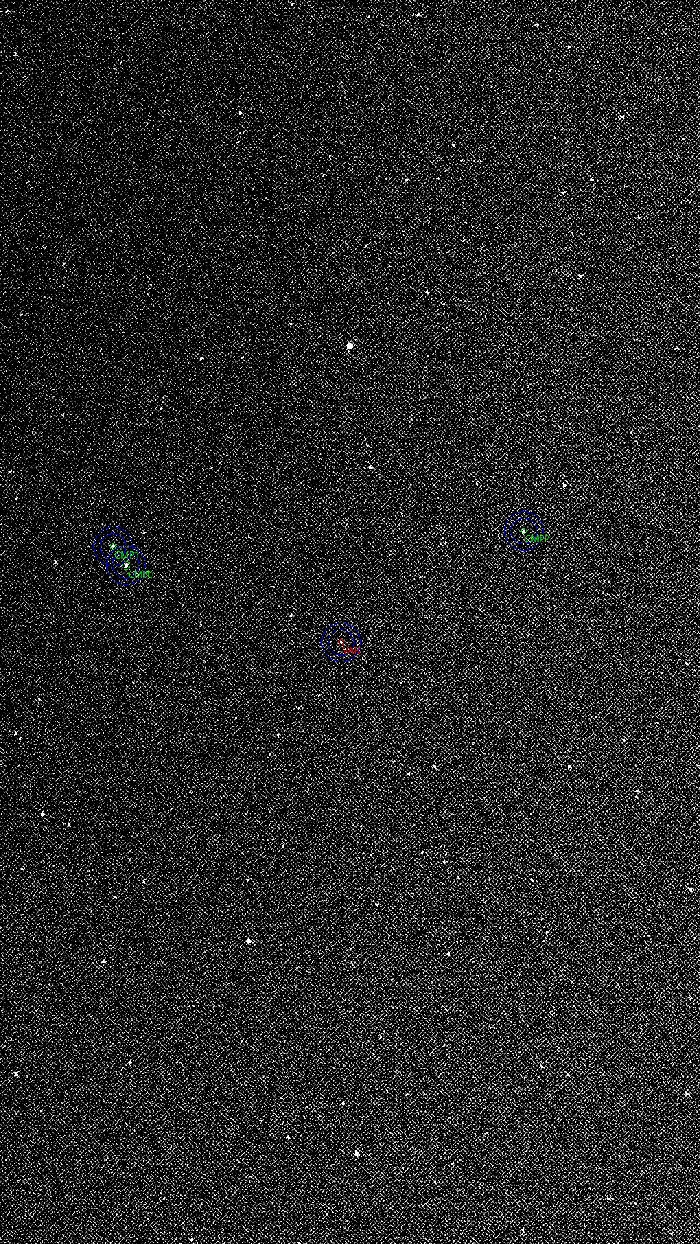 Chart - V0796 Cyg, JD 2461204.49271