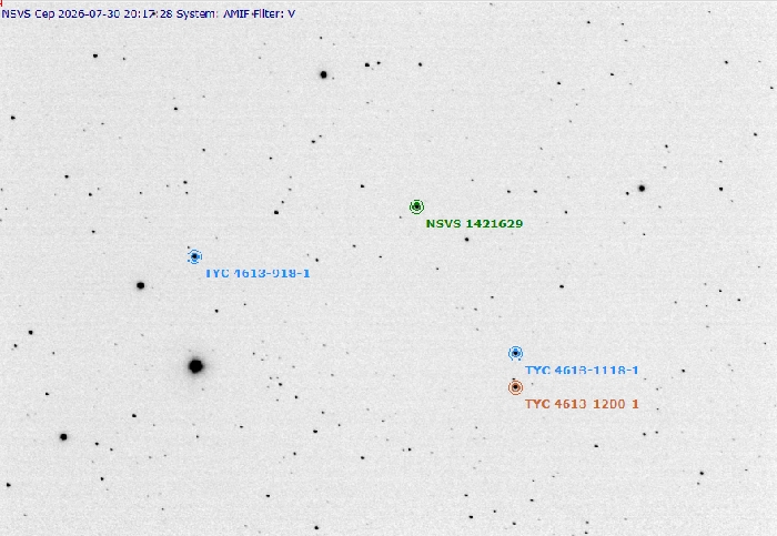 Chart - NSVS 1421629, JD 2461252.34546