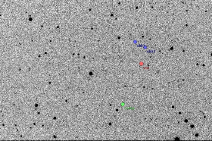 Chart - KW Peg, JD 2456541.27667