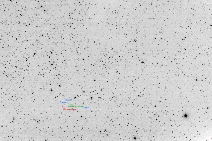 Chart - SvkV119, JD 2457571.38119