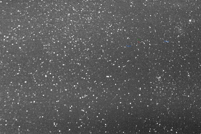 Chart - XY Cep, JD 2458027.31731