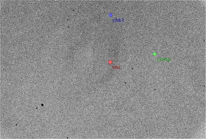 Chart - RW Com, JD 2455567.55644
