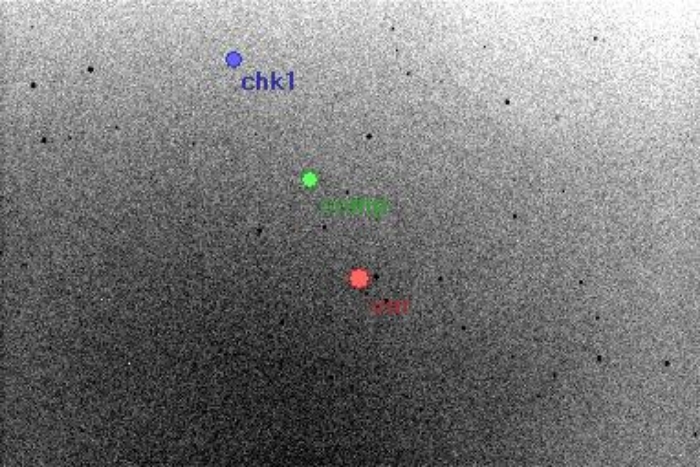 Chart - MW UMa, JD 2456405.29314