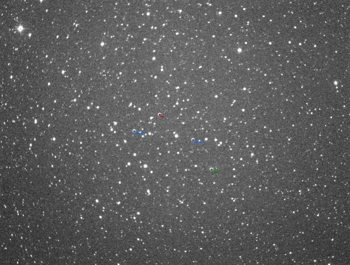 Chart - V2477 Cyg, JD 2459063.45739