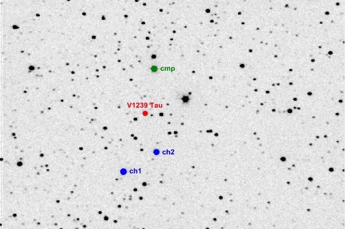 Chart - V1239 Tau, JD 2455621.24506