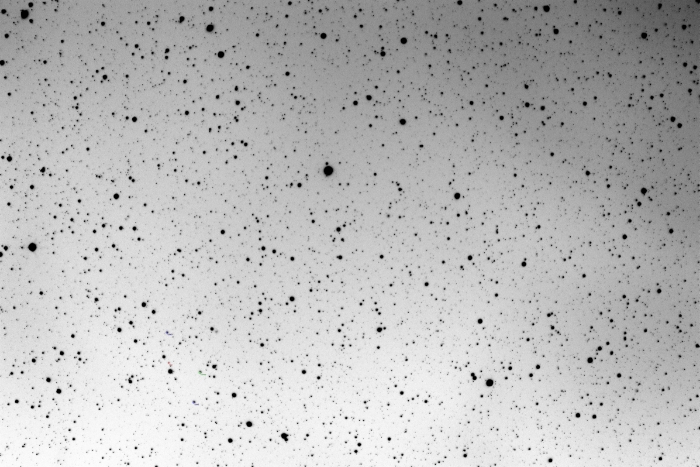 Chart - BD +05 2520, JD 2459650.37936