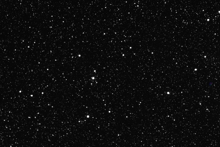 Chart - WISE J010202.9+521255, JD 2460533.31492