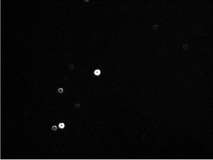 Chart - HAT-P-13, JD 2455672.27262