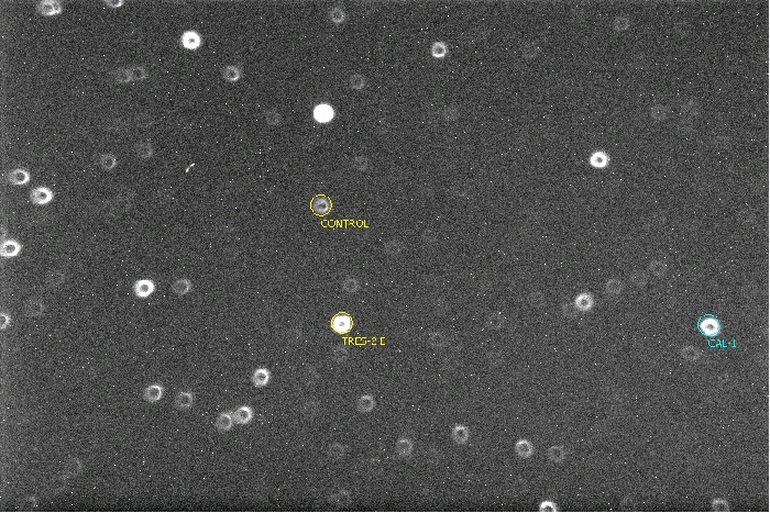 Chart - TrES-2, JD 2456875.37978