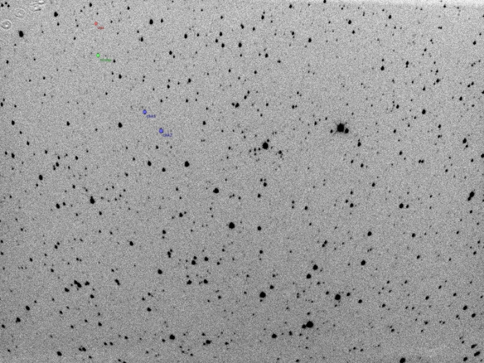 Graphique - 2MASS J06320975+2954573, JD 2458178.26352