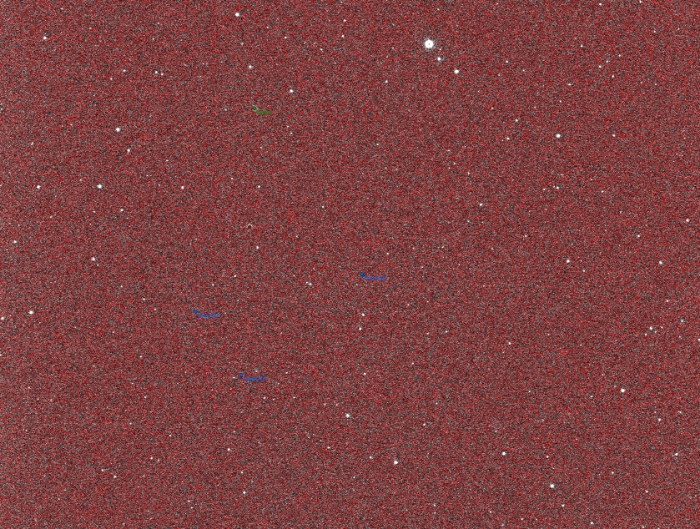 Graphique - VW Cep, JD 2460177.30271