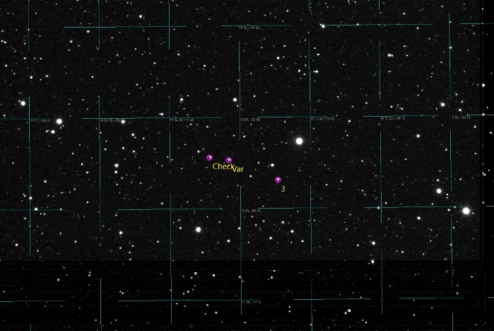 チャート - V1130 Cyg, JD 2460901.38300