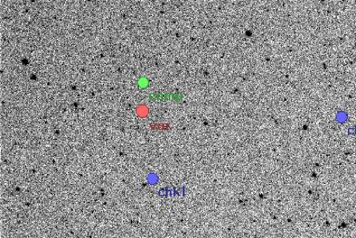 チャート - V1137 Cas, JD 2455077.35575
