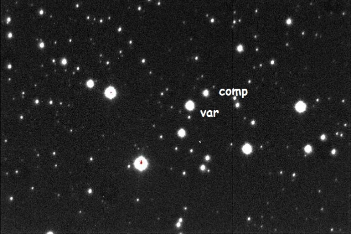 チャート - V1239 Tau, JD 2456597.47830