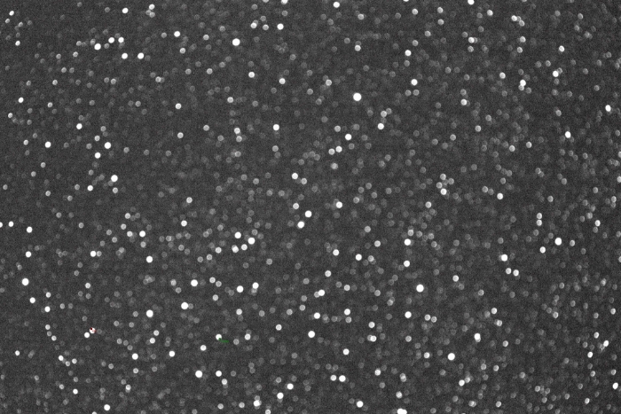 チャート - V0456 Oph, JD 2457957.39373