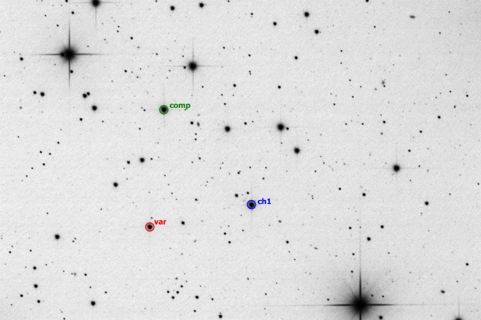 チャート - CzeV2569, JD 2458951.29489