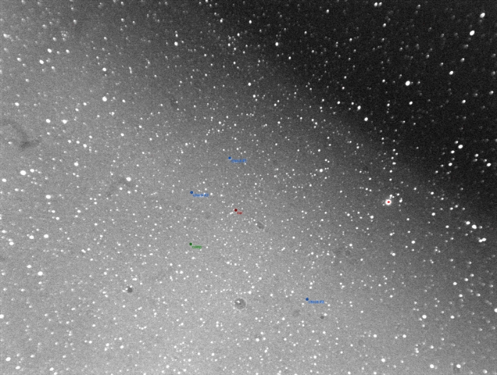 チャート - GO Cyg, JD 2459942.20230